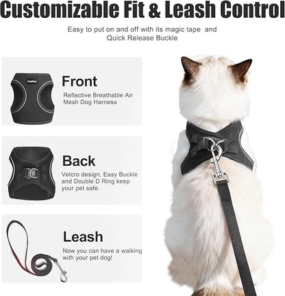 PetiFine Extra Small Step in Dog Harness and Leash Set, Cat Harness and Leash - Image 2