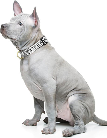 Reflective Dog Collar for Medium Dogs, Cute Boho Adjustable Heavy-Duty Nylon - Image 2