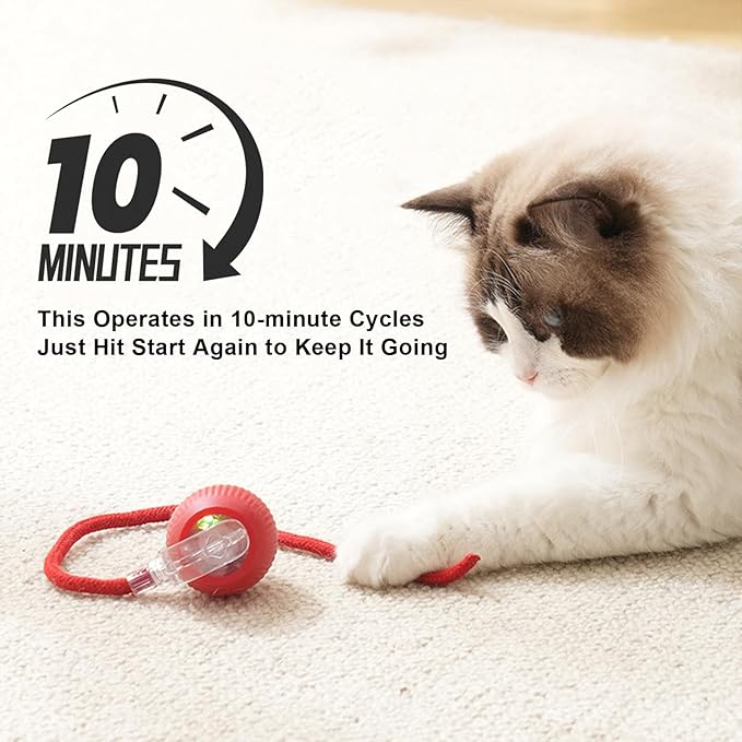 2025 New 2Pack Cat Ball Kitten Toys - Image 5