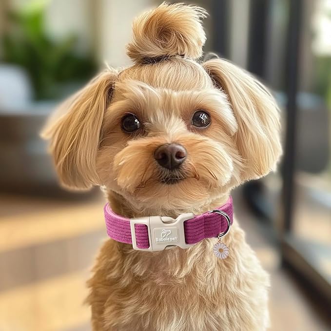 Cute Corduroy Dog Collar - Image 5
