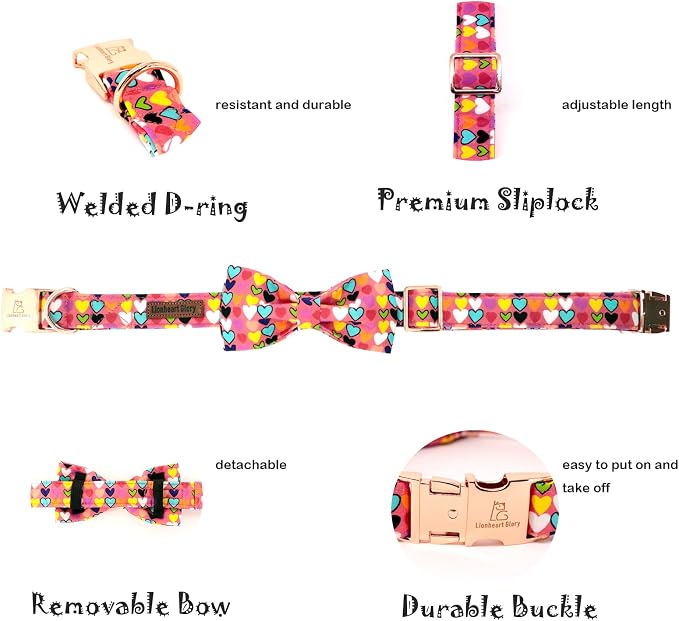 Lionheart glory Valentine's Dog Collar, Dog Collars - Image 2
