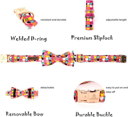 Lionheart glory Valentine's Dog Collar, Dog Collars - Image 3