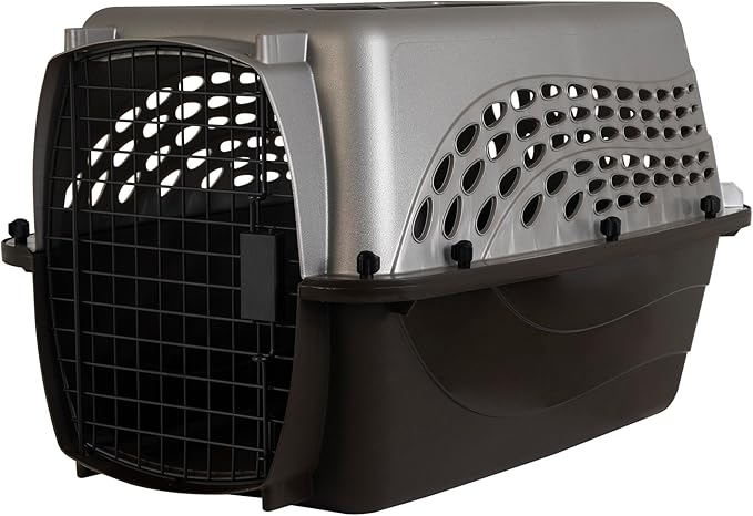 Petmate Dog Crates for Small Dogs & Cat Carriers, Two-Door Plastic Pet Kennel by Petmate