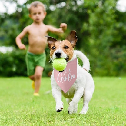 Its a Girl Pink Dog Bandana Baby Announcement Pregnancy Announcement Photo - Image 5