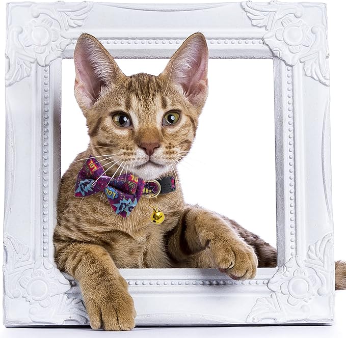 Faygarsle 2 Pack Cotton Designer Breakaway Cats Collar - Image 6