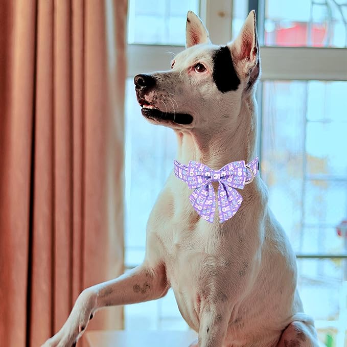 MR. CHUBBYFACE Easter Dog Collar, Adjustable Pet Collar Bowtie - Image 5