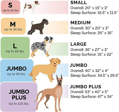 Furhaven Orthopedic Dog Bed for Medium/Small Dogs w/ Removable Bolsters & - Image 6