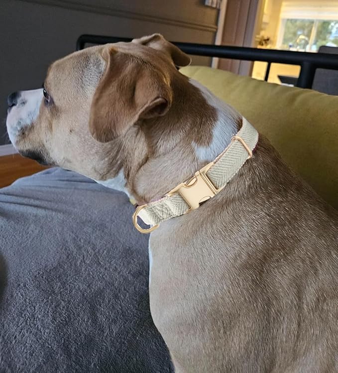 Soft Cotton Hemp Dog Collar - Image 5