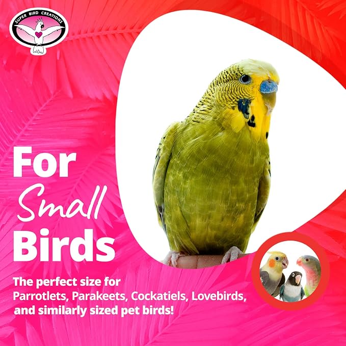 Super Bird Creations SB323 Small Bungee Bird Toy - Image 3