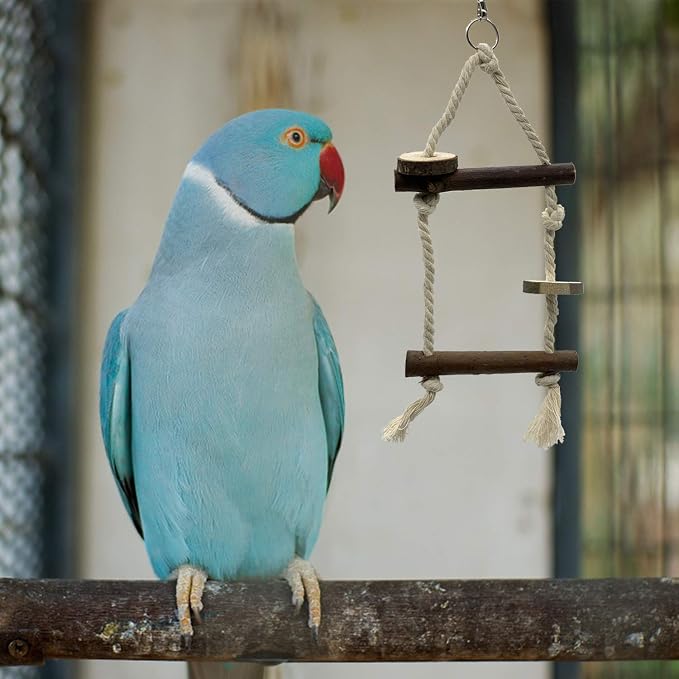EBaokuup Bird Parrot Perch Set - Image 6