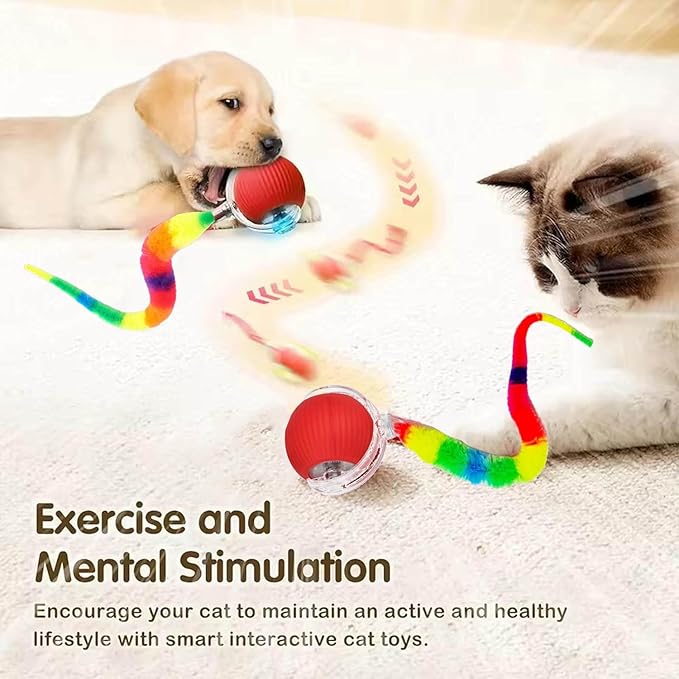 2 PCS Interactive Cat Toy Rolling Ball Chewie Viral Dog Ball - Image 3