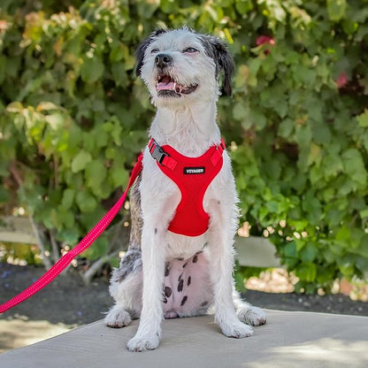 Voyager Step-in Pet Harness - Image 8