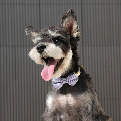 Beirui Cute Small Dog Harness Collar and Leash Set - Image 5