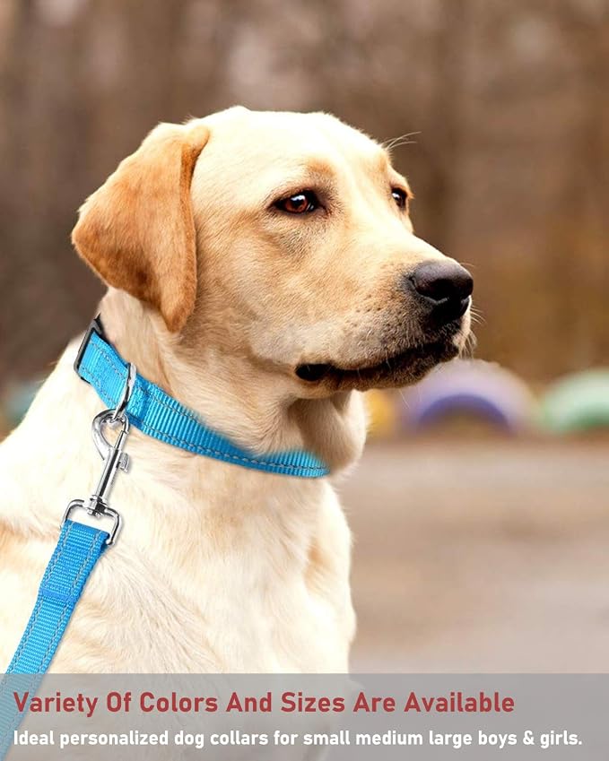 Reflective Dog Collar with Buckle Adjustable Safety Nylon Collars - Image 6