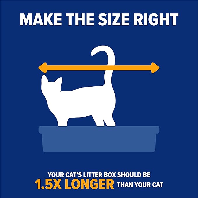 Arm & Hammer Rimmed Cat Litter Box - Image 6