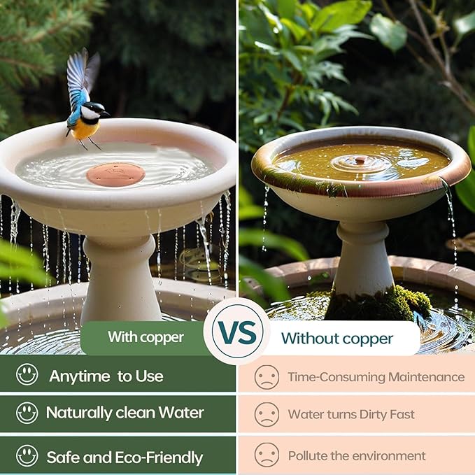 QIANQIAN Bird Bath Copper Disk, Copper Bird Bath Purification Disk - Image 2