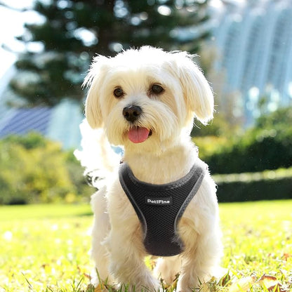 PetiFine Step in Small Dog Harness and Leash Set, Breathable All Weather Air - Image 8