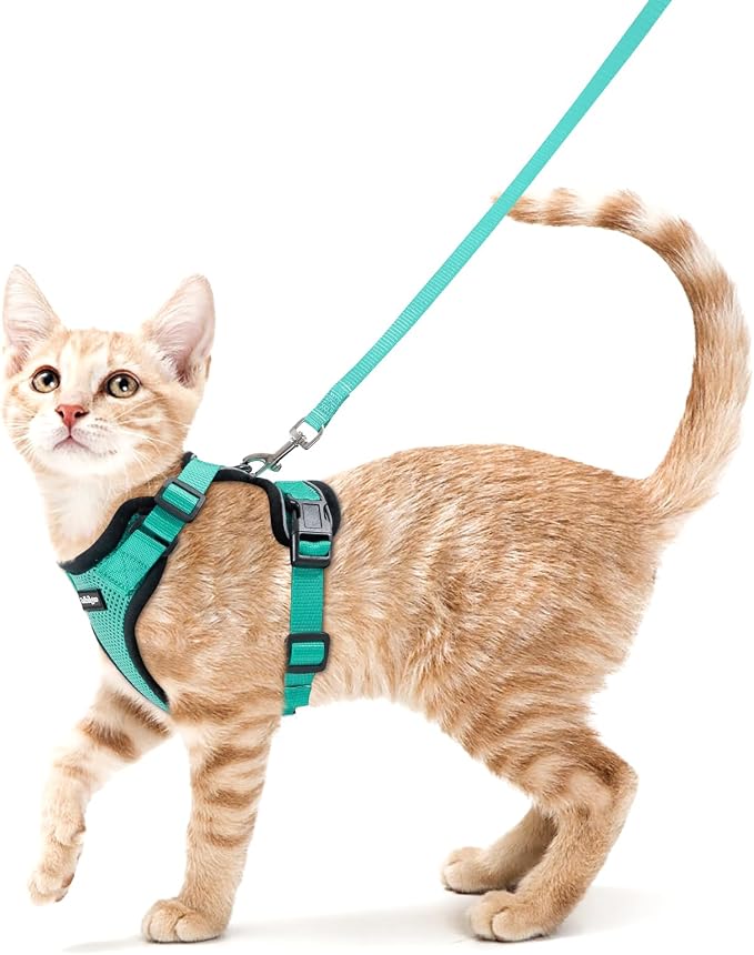 rabbitgoo Cat Harness and Leash by rabbitgoo