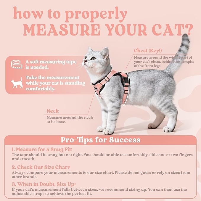 rabbitgoo Cat Harness and Leash - Image 2