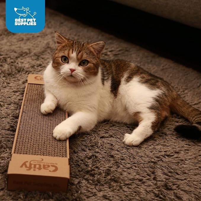 Best Pet Supplies Corrugated Cardboard Cat Scratcher Pads, and Fun Interactive - Image 6
