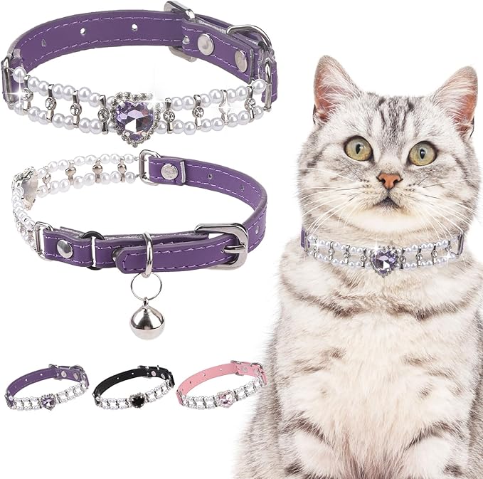 EXPAWLORER Cat Collar Leather by EXPAWLORER