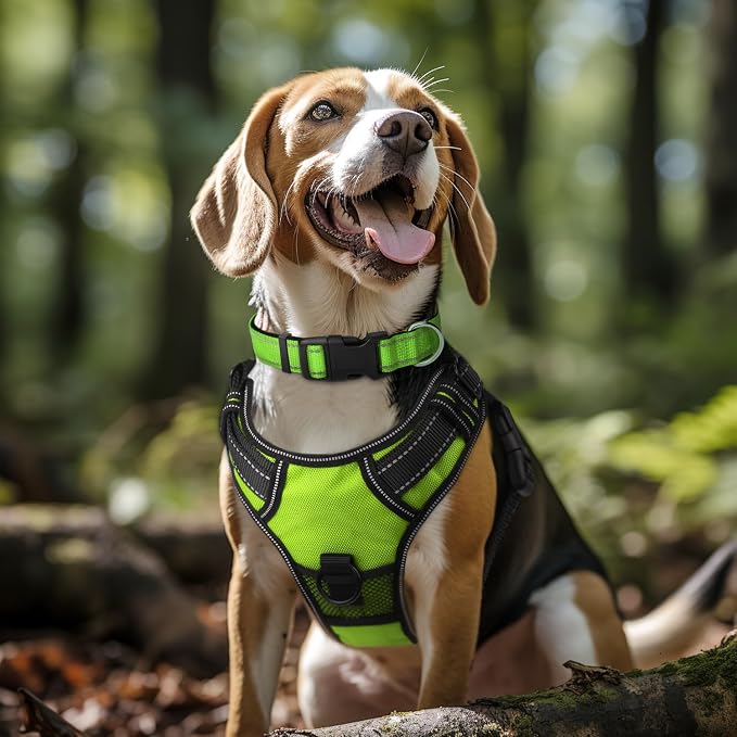 Joytale Reflective Dog Collar, Soft Neoprene Padded, Metal D-Ring, Nylon Pet - Image 2