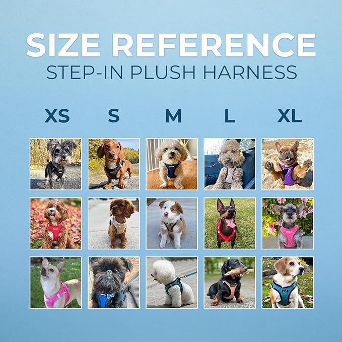 Best Pet Supplies - Image 6
