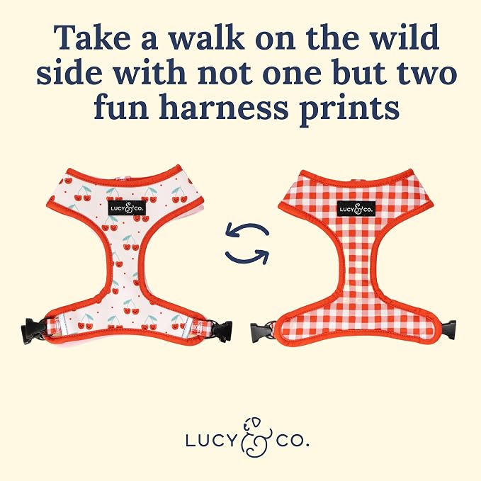 Lucy & Co. Cheery Cherries, Cute Reversible Dog Harness Walking Halter - Image 5