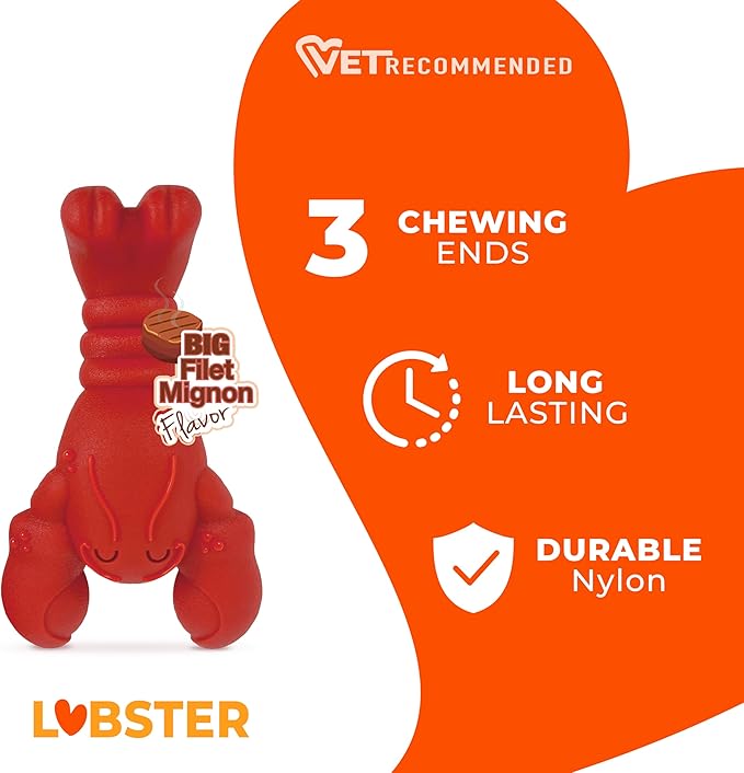 Nylabone Lobster Power Chew Toy - Image 2