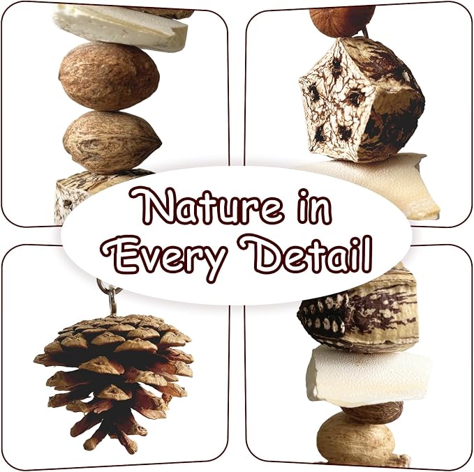Nut Perch Stand with Interchangeable Materials – Natural, Safe Bird Playset - Image 5