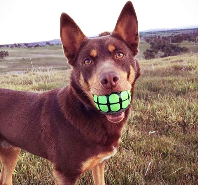 Dog Balls Toys Squeaky Fetch - Image 3