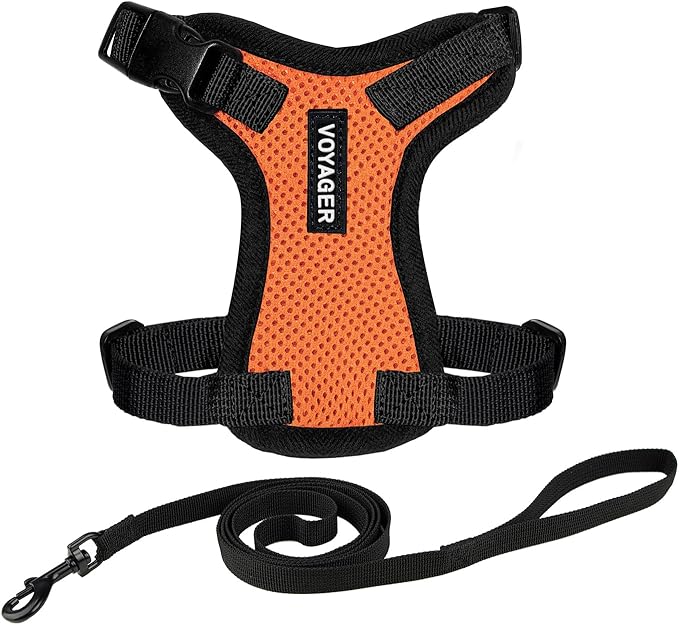 Voyager Escape-Proof Step-in Lock Cat Harness & 5ft Neoprene-Handle Leash Set by BestPetSuppliesLLC