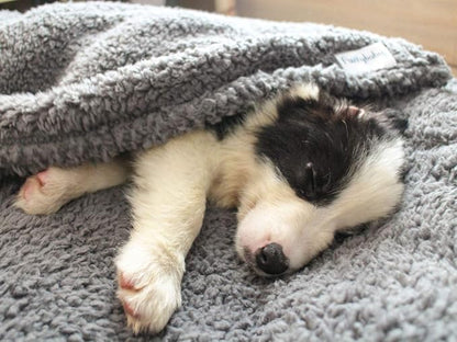 furrybaby Dog Blanket Soft Dog Blankets - Image 7