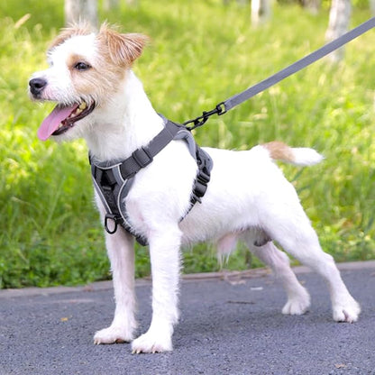 Cat Harness and Leash for Walking, Escape Proof Soft Adjustable Vest Harnesses - Image 6
