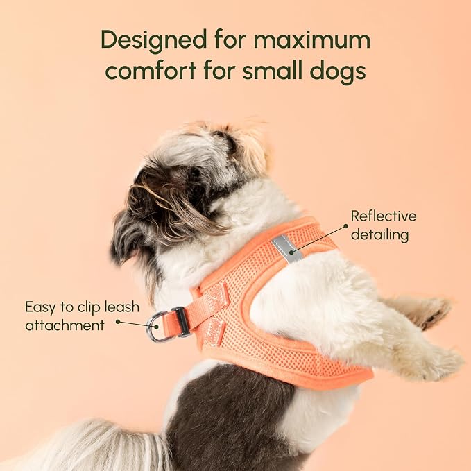 Downtown Pet Supply Step in Dog Harness - Image 3