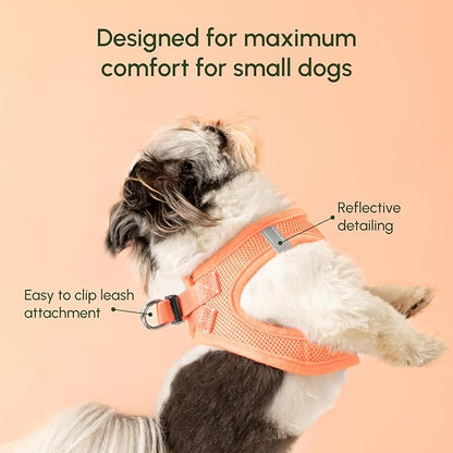 Downtown Pet Supply Step in Dog Harness - Image 3