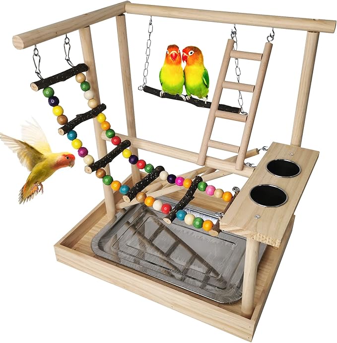 Hamiledyi Parrots Playground Bird Play Gym Wood Perch Stand Colours Climb by Hamiledyi