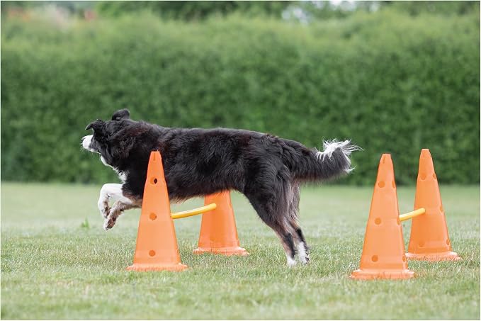 TRIXIE Dog Agility Hurdle Cone Set – Dog Agility Set - Image 3