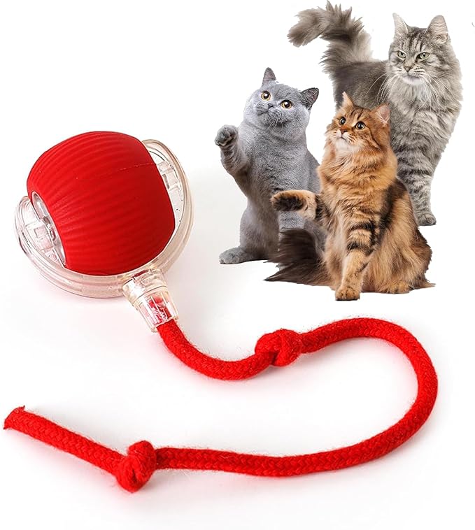 Rocfish Durable Interactive Cat Toys by Unknown