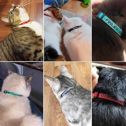 Personalized Nylon Cat Collar Breakaway - Image 7