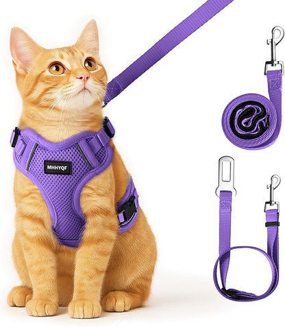 Cat Harness, Cat Harness and Leash by Unknown