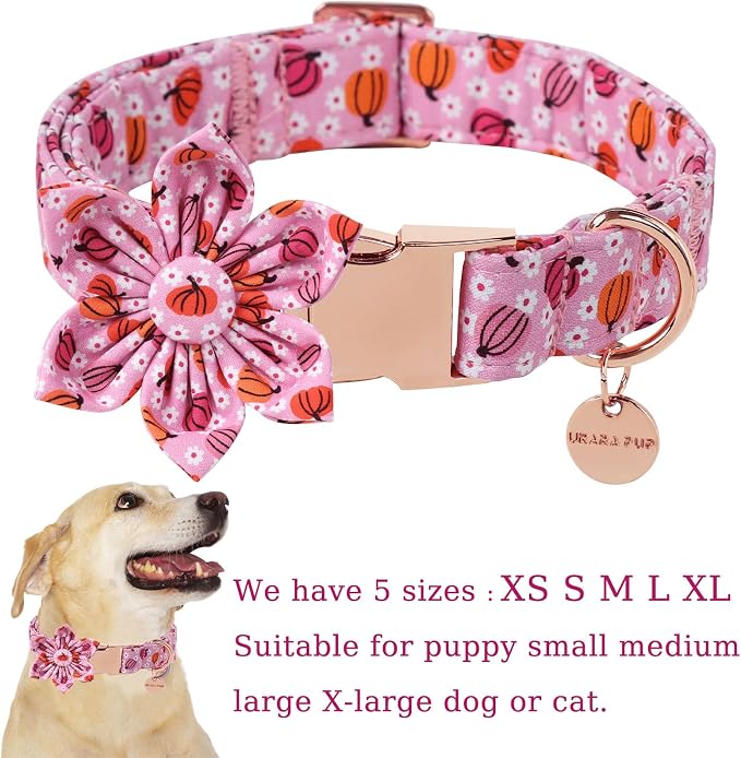 Halloween Pumpkin Dog Collar - Image 2