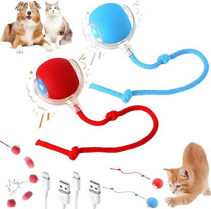 2026 New 2Pack Cat Ball Kitten Toys by Unknown