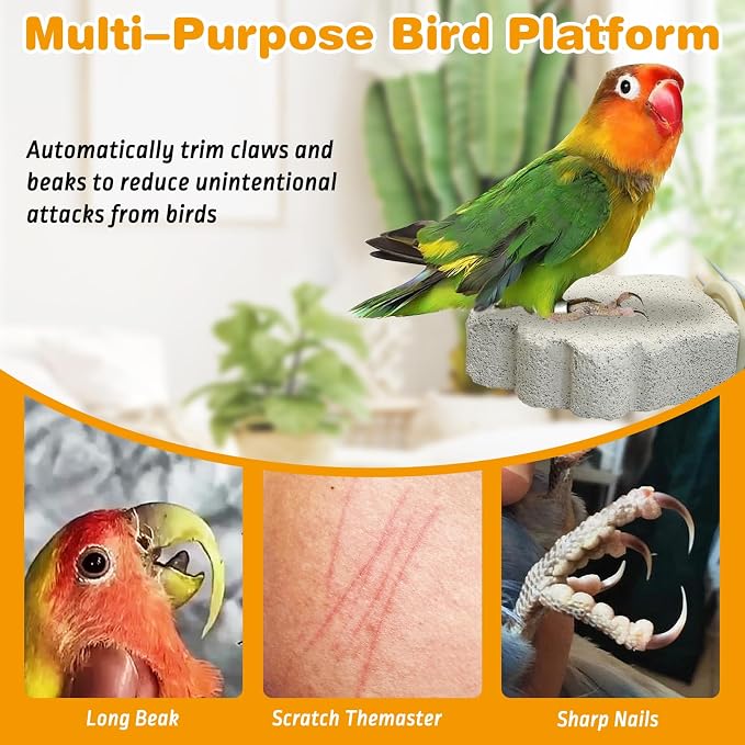 PINVNBY 6 PCS Bird Perch Parrot Beak Grinding Stone Calcium Mineral Parrot - Image 5