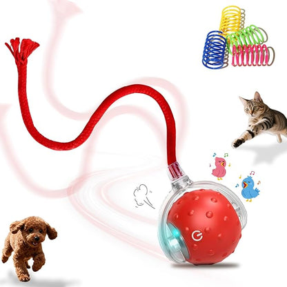 Interactive Cat Toys Ball for Indoor Cats＆Dog, Automatic Cat Toy by Petayouj