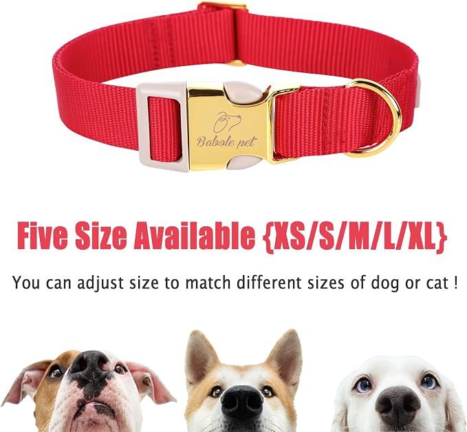 Nylon Dog Collar - Image 7