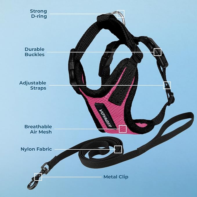 Voyager Escape-Proof Step-in Lock Cat Harness & 5ft Neoprene-Handle Leash Set - Image 3