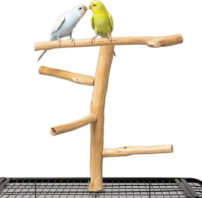 Natural Wood Bird Perch & Play Stand by Unknown