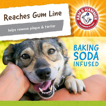 Arm & Hammer for Pets Nubbies Duality Bone Dental Dog Toy - Image 5