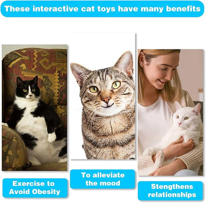 Retractable Cat Toy Wand, 12 Packs Interactive Cat Feather Toys, 9 Assorted - Image 7